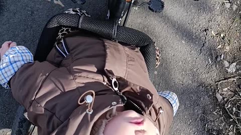 Baby Falls Asleep on a Stroller Trike
