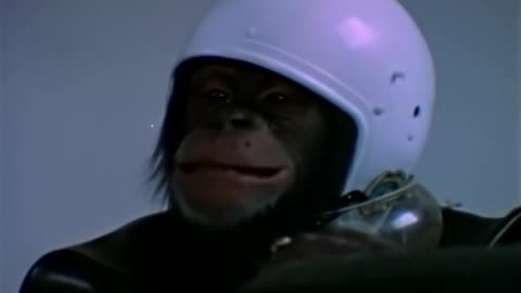 1970 Lancelot Link, Secret Chimp S01E03 Mysterious Motorcycle Menace