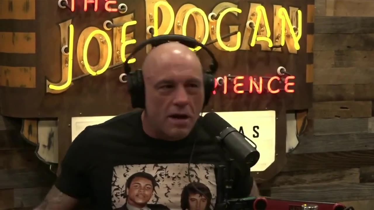 Power vs. Kindness: The Struggle - David Kipping and Joe Rogan #humanconnections #materialism