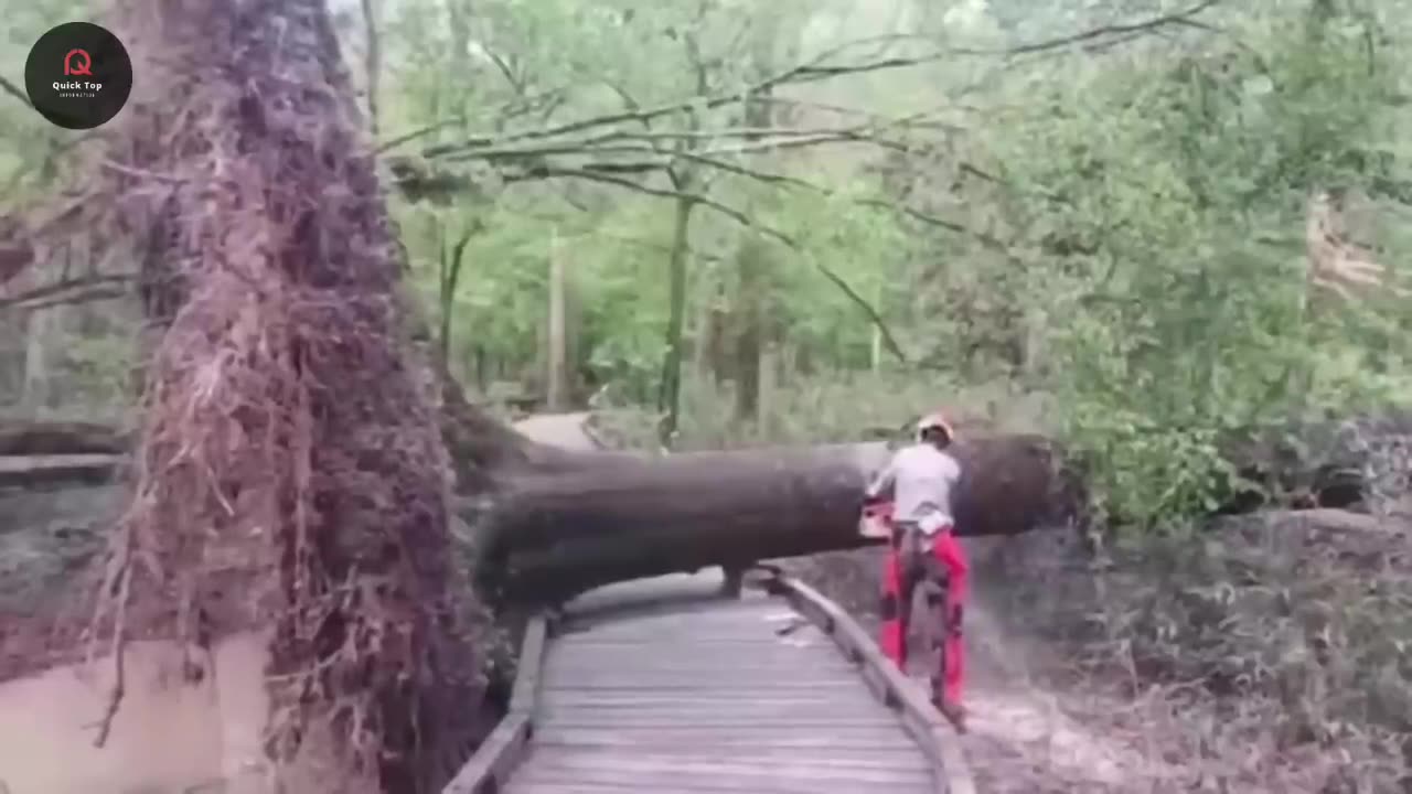 70 Most Unbelievable Nature Moments.