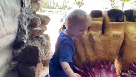 Toddler’s Daring Quest at Big Foot’s Cave, Macintosh Island Park! || #SurfersParadise
