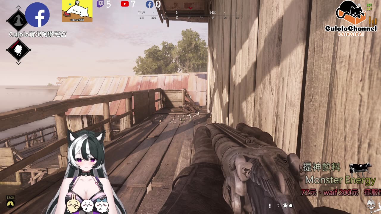 🌱vs🧟‍♀️ New version⭐新手向⭐🥺倉鼠系玩家🥺| 來聊天R ✨💎(๑˃̵ᴗ˂̵)و Culolo Channel(๑˃̵ᴗ˂̵)و 5 Taiwan優質台💎✨