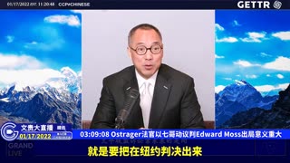 （三十四）Ostrager法官以七哥动议判Edward Moss出局意义重大【2022年01月17日文贵大直播精选】