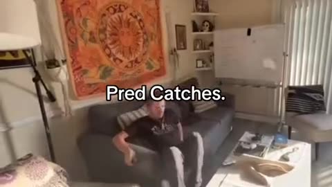 💣 PEDO PREDATOR CATCHERS @FollowsTheWhiteRabbit 🐇