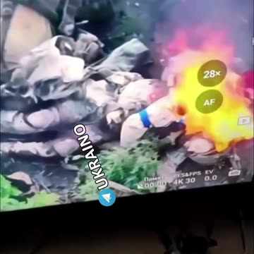 Ukraine war related/combat footage 11/24/25