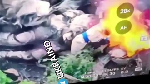 Ukraine war related/combat footage 11/24/25