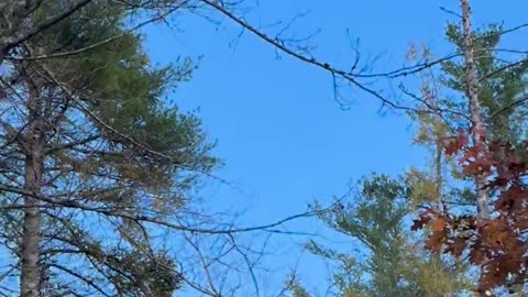 👽🔮 Mysterious Light Appears in Sky for Hours! What's Behind This Phenomenon? | UFO… | TheTruthAbove