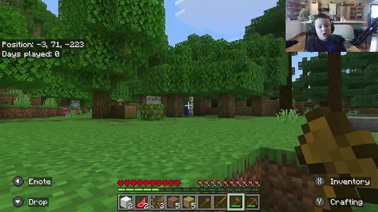 Minecraft Hardcore : Will I survive???
