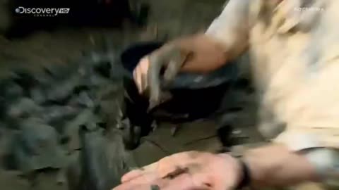 EKSTREMALNE POŁOWY 2 dokument pl