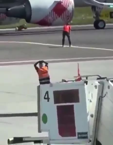 Man climbs into a plane's engine in Italy