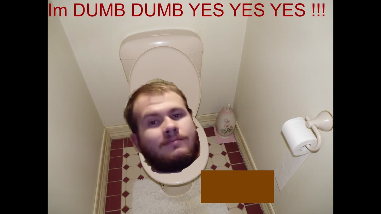 Its Toilet Time