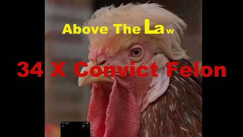 The Stuff That Happens Here