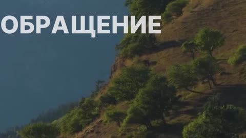 Права и обязанности в браке по исламу — что важно знать