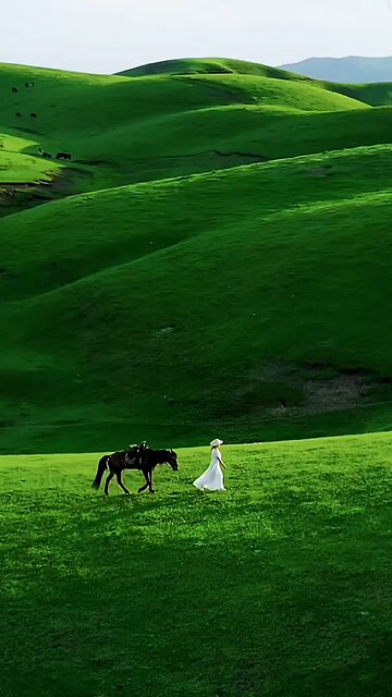 "In the embrace of the grassland, every piece of green grass is telling