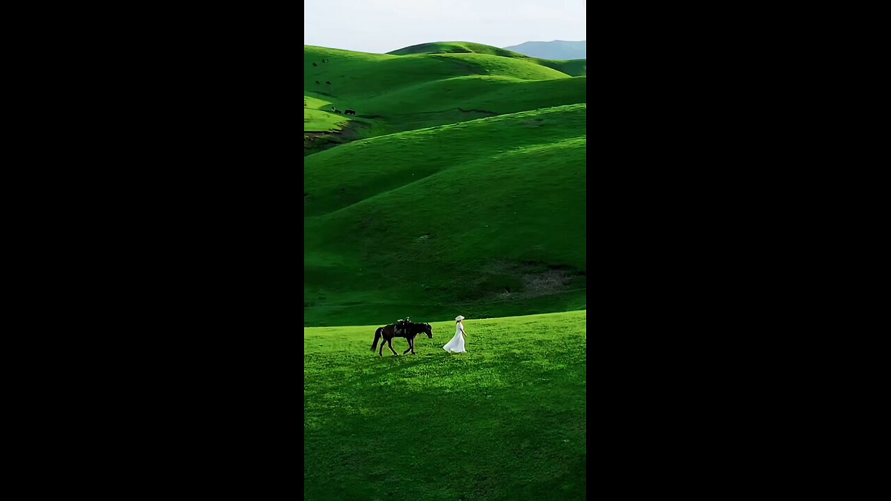 "In the embrace of the grassland, every piece of green grass is telling