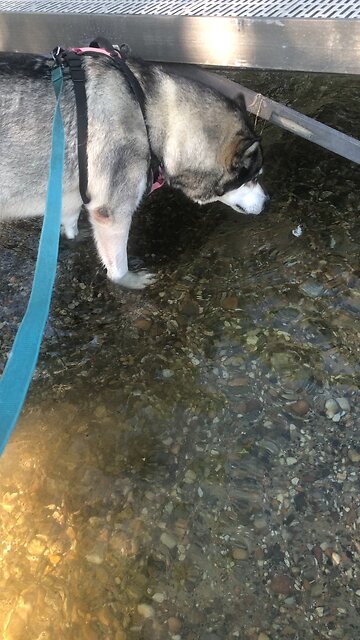 Sunday July 27, Praise the Lord, I tell myself.