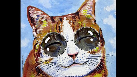 cute cat