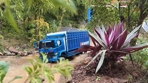 RC Truck Carrying Lychee Fruits – Mini Delivery Mission!