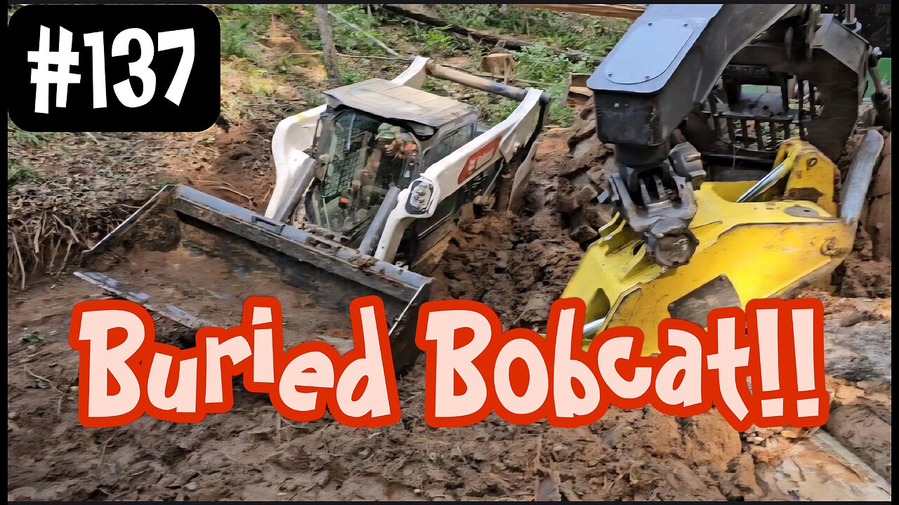 Getting The Bobcat Unstuck ‼️