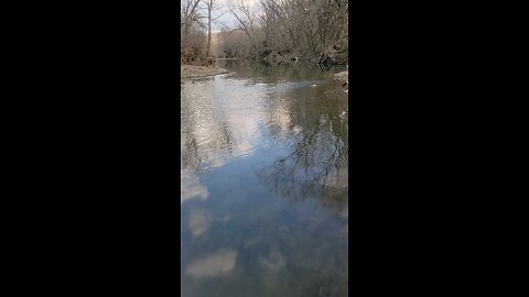 Wading the creek