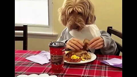 No Words...Just Watch the Hilariousness! 🤭