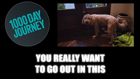 1000 Day Journey 0850 Outside in This Weather