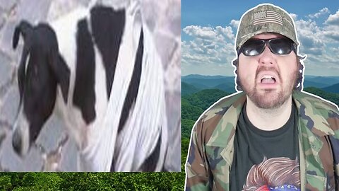 Havana Dog Takes A Big Dump! - Reaction! (BBT)