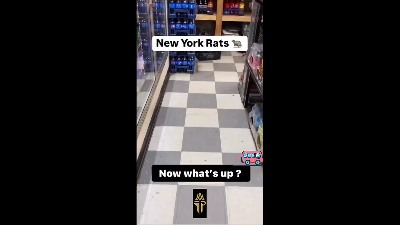 Rodents In New York City...