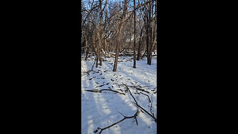 A Stop at My Woodland Church for Prayer