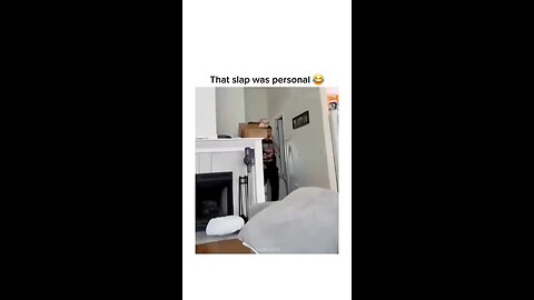 Funniest Cats & Dogs of 2025!