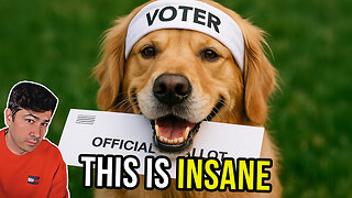 California Woman Registers DOG To Vote—And Casts Ballot!