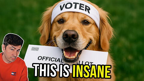 California Woman Registers DOG To Vote—And Casts Ballot!