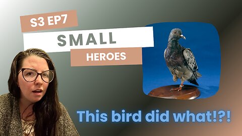 Small Heros