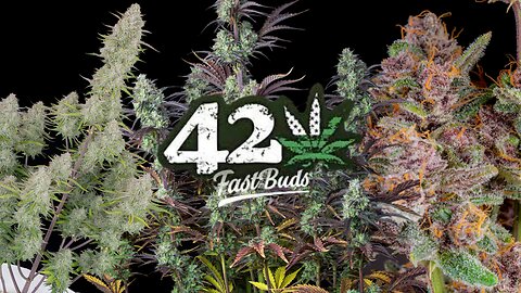 42 Fast Buds 2.0