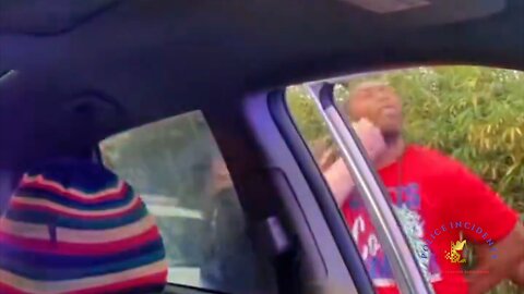 William McNeil Traffic Stop Cellphone and Body Cam Footage