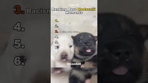Funniest Medazelli#ranking #medazelli #tiktok