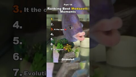 Funniest Medazelli#ranking #medazelli #tiktok