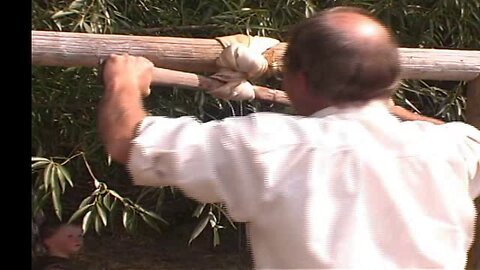 PRIMITIVE SURVIVAL, Strong Hide Wringing Brings Nearly Finished Drying And Stretching