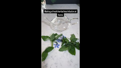 Making a fresh herbal tea infusion