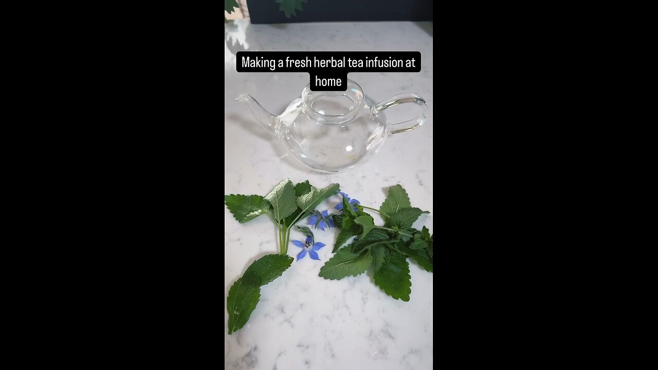 Making a fresh herbal tea infusion