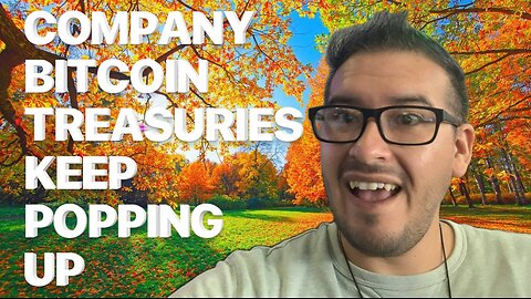 Bitcoin Boom: Why Companies Are Stacking Sats in Their Treasuries