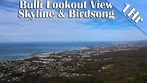 1 Hour of Wollongong Coastline & Birdsong Ambience | Bulli Lookout View