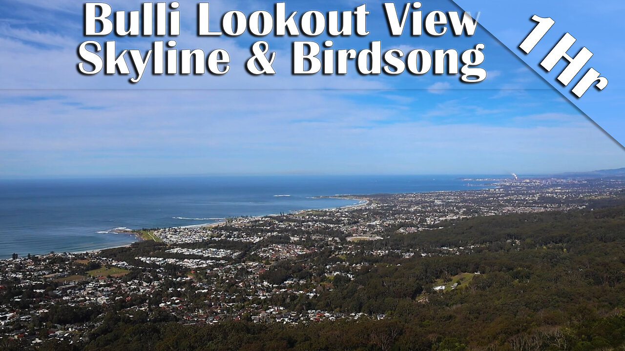 1 Hour of Wollongong Coastline & Birdsong Ambience | Bulli Lookout View