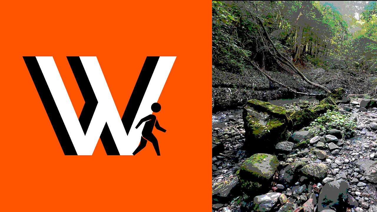 Walk #15