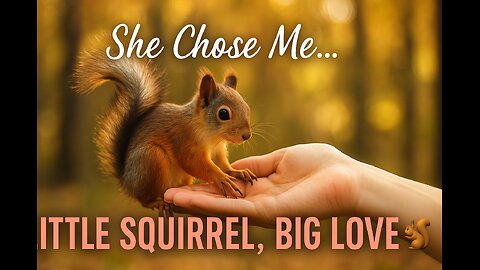 “I Found a Little Squirrel… and She Loved Me Too 🐿️❤️ | Emotional Song”