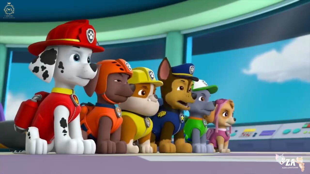 PAW Patrol Cartoons