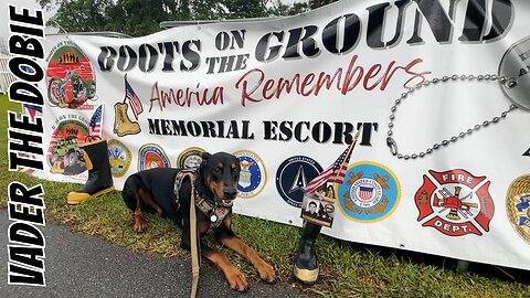 🎬 Boots on the Ground: Doberman Fetch POV 🎾🐾