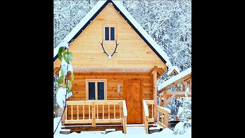 ONE Year a Man Builds the Log Cabin of his Dreams Alone in the Forest, Start to Finish