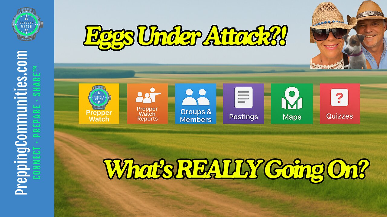 Lets Talk Eggs!