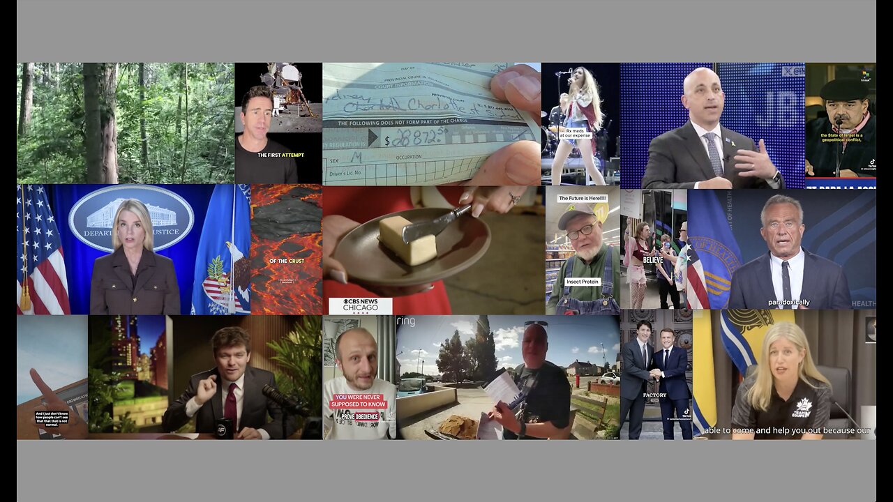 "if you go down to the woods today" - week in review 2025-08-15